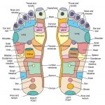 Foot reflexology chart