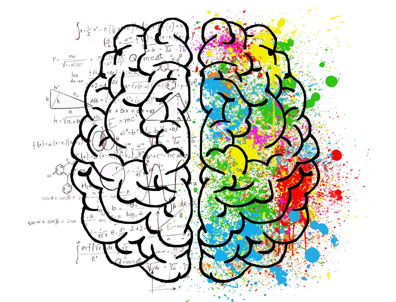 Left brain which handles logic and right brain which handles creativity.