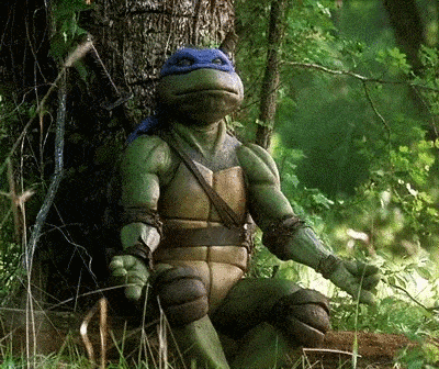 Leonardo meditating with deep breaths